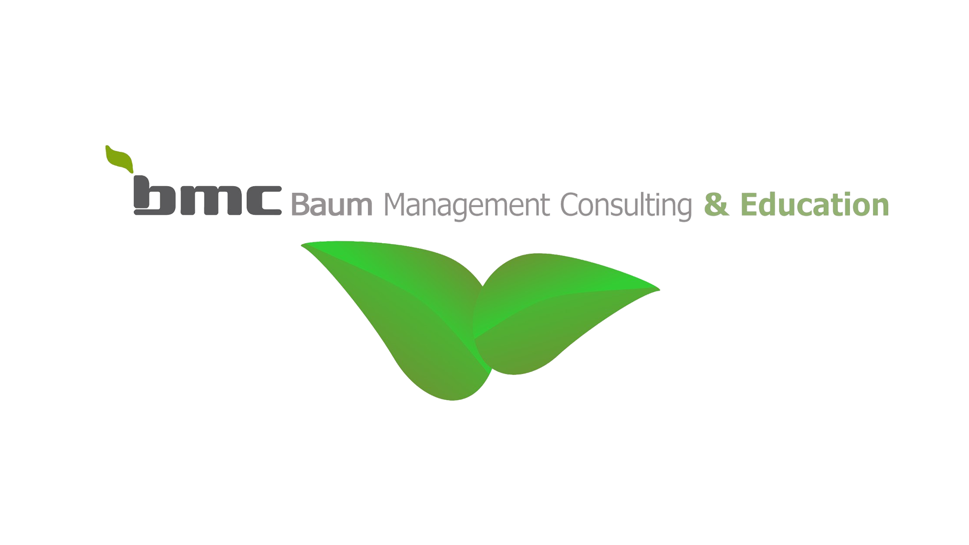 BMC Education – Beratung, LMS & digitale Lerninhalte